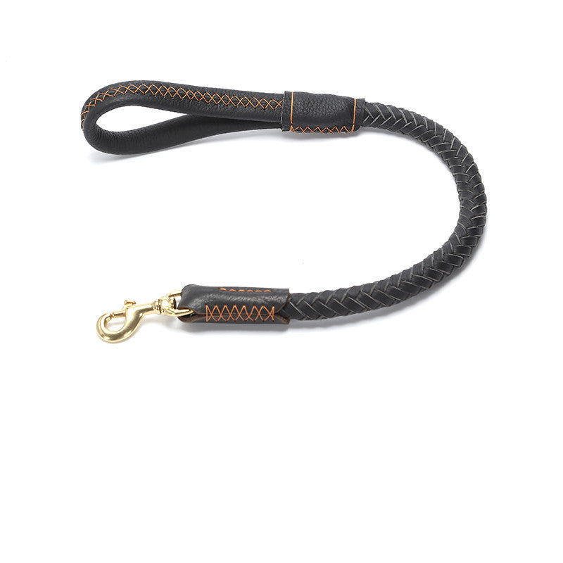 Leather Dog Leash with Anti-Breakaway Chain