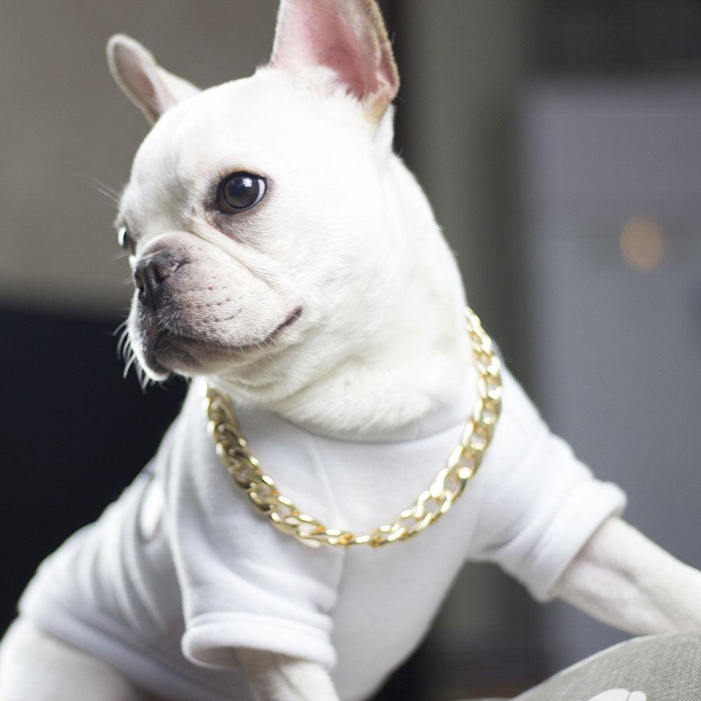 Fashionable Domineering Metal Pet Necklace