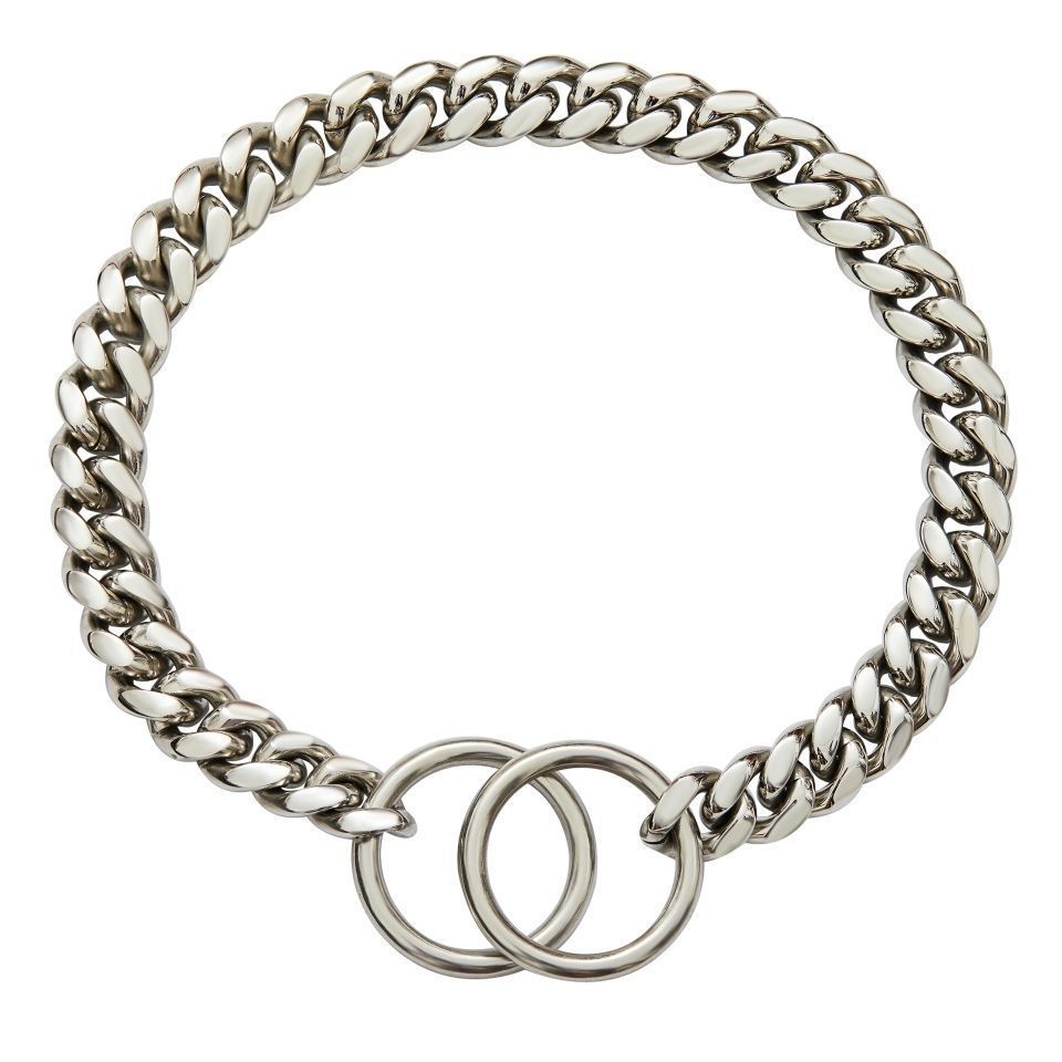 Stainless Steel Drag Chain Double Ring