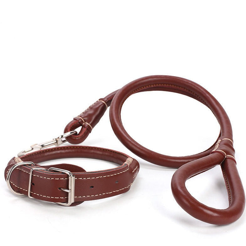 Golden Retriever Husky Leather Collar Dog Rope