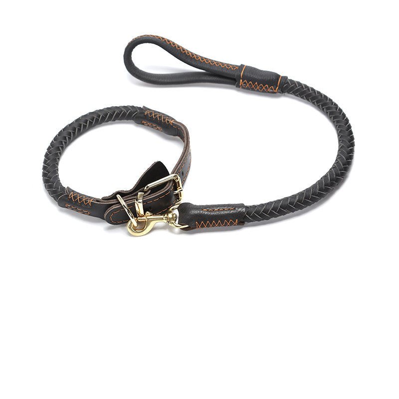 Leather Dog Leash with Anti-Breakaway Chain