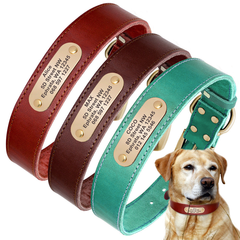 Personalized Dog Collars with Nameplate Tags