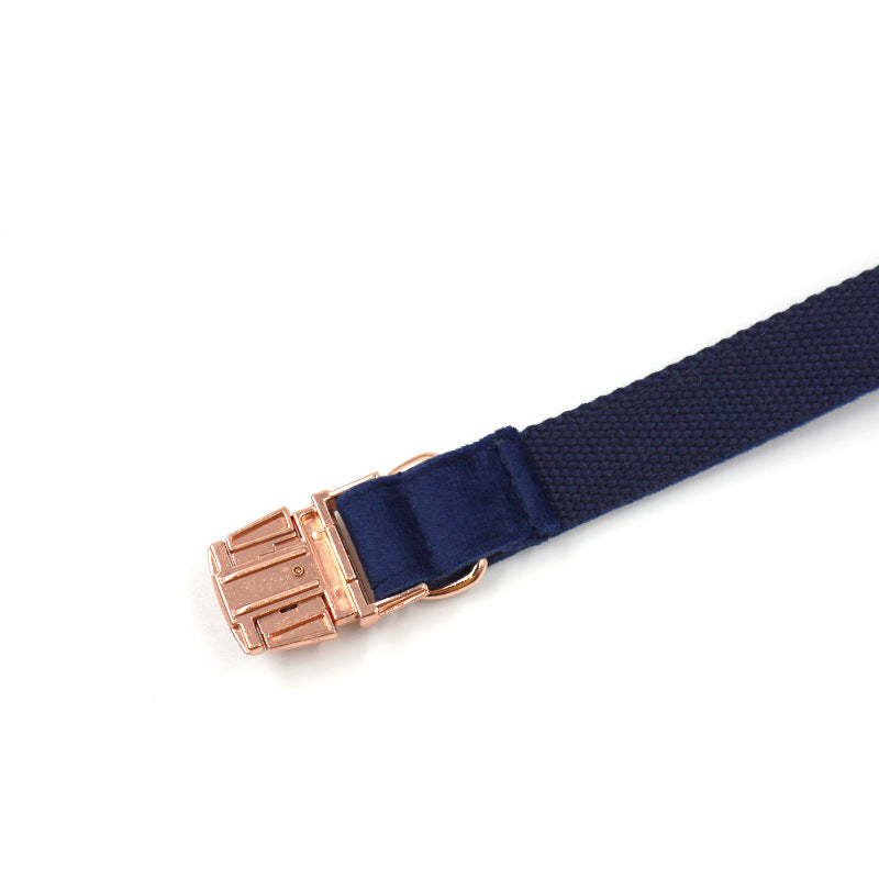 Blue Velvet Pet Collar with Rose Gold Buckle