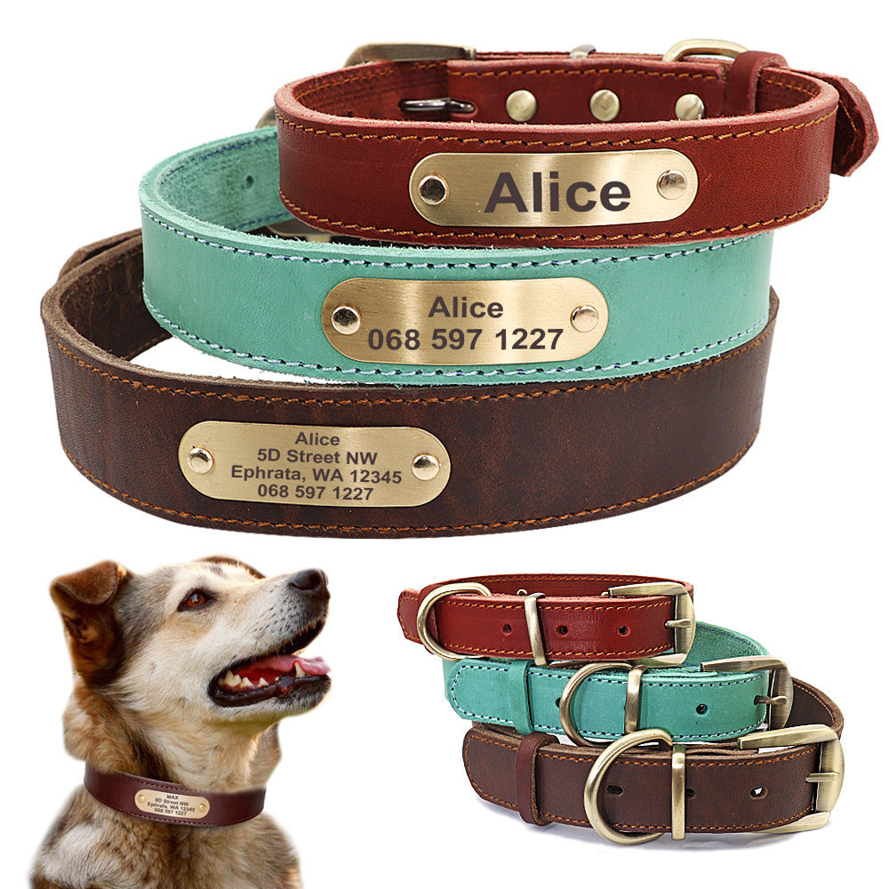 Personalized Dog Collars with Nameplate Tags