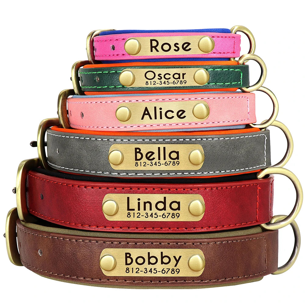 Customized Leather Dog Collar & Leash Set with Nameplate