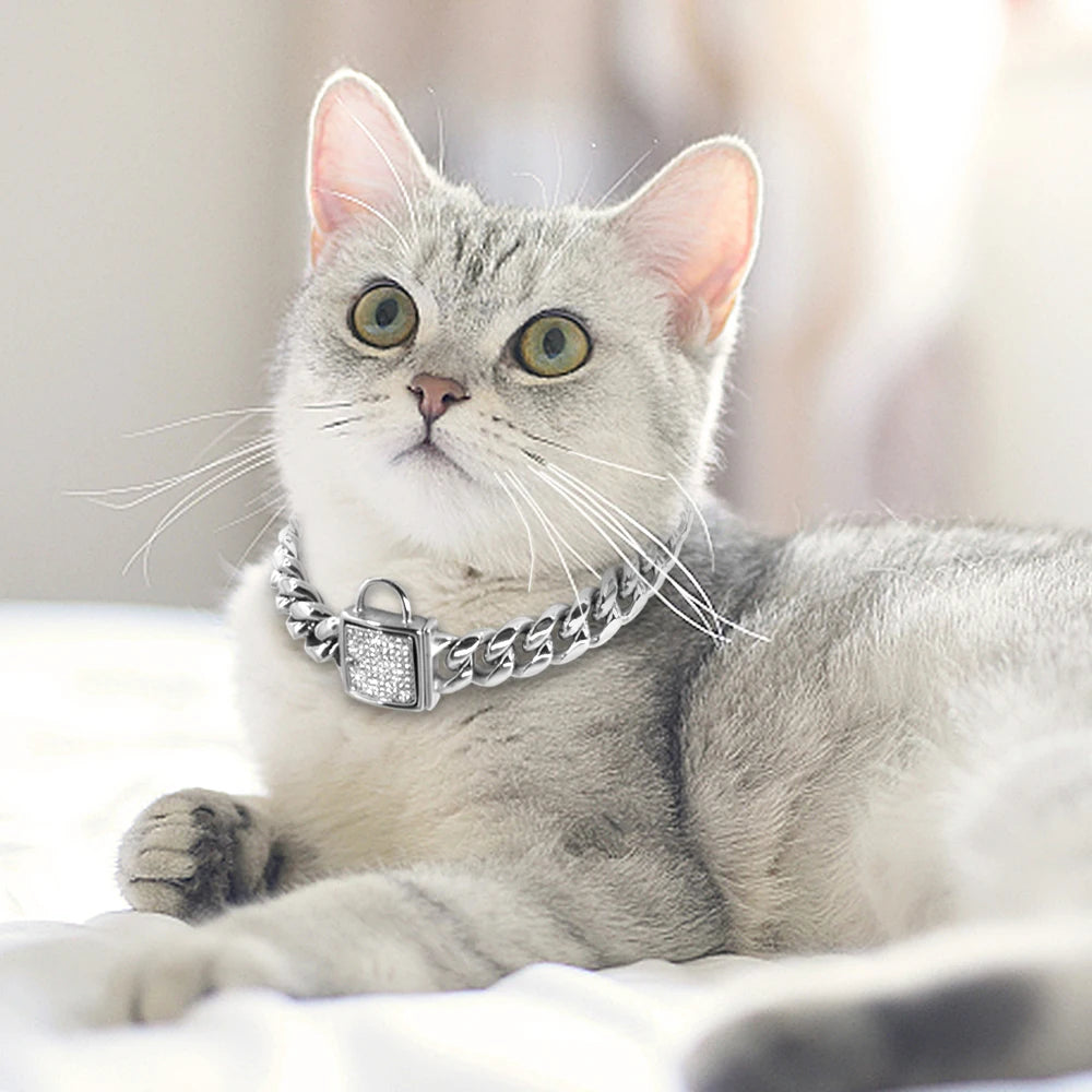 Stainless Steel Luxury Puppy Chain Collar