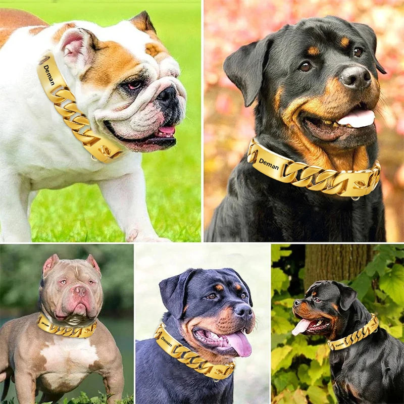 Personalized Wide Gold Chain Dog Collar