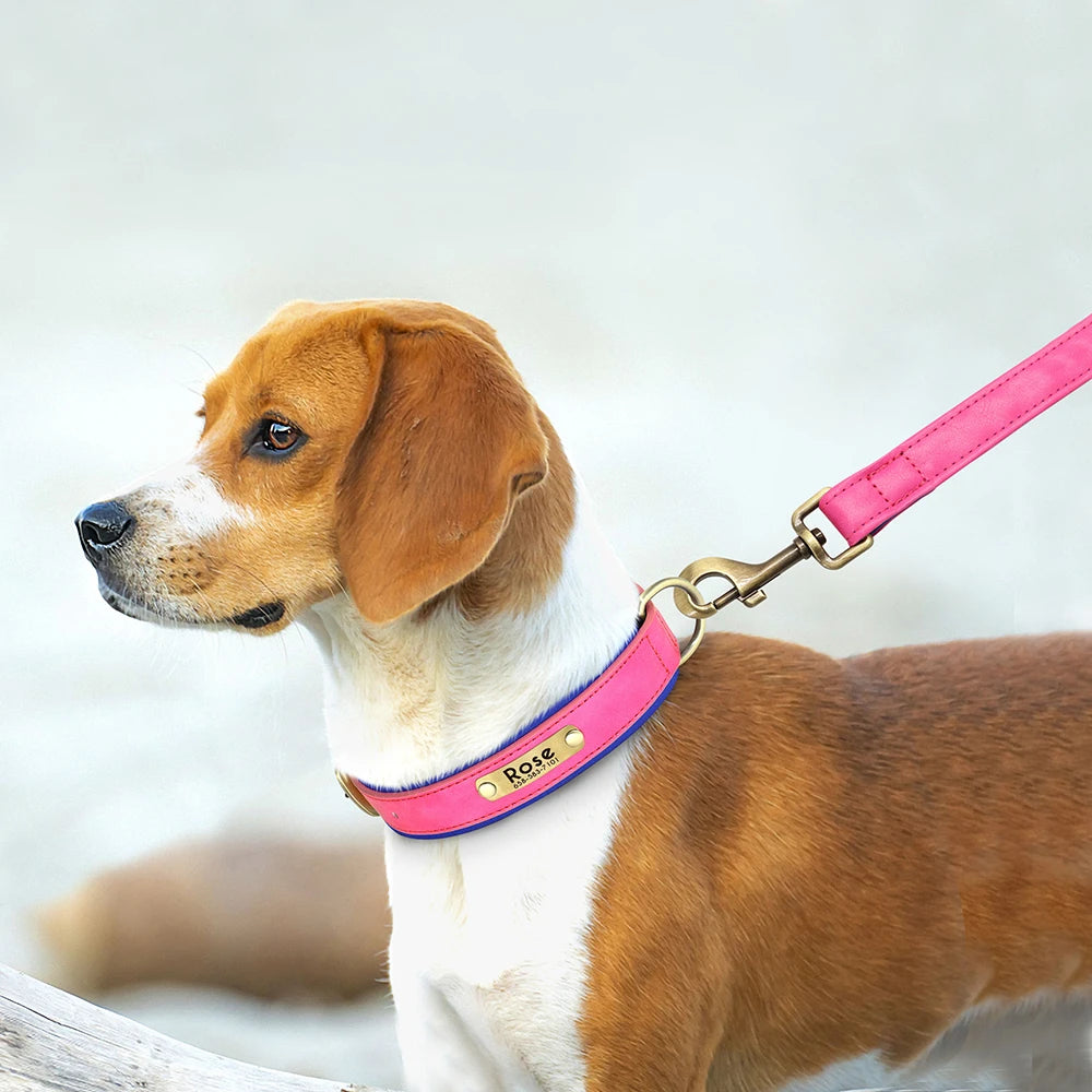 Customized Leather Dog Collar & Leash Set with Nameplate