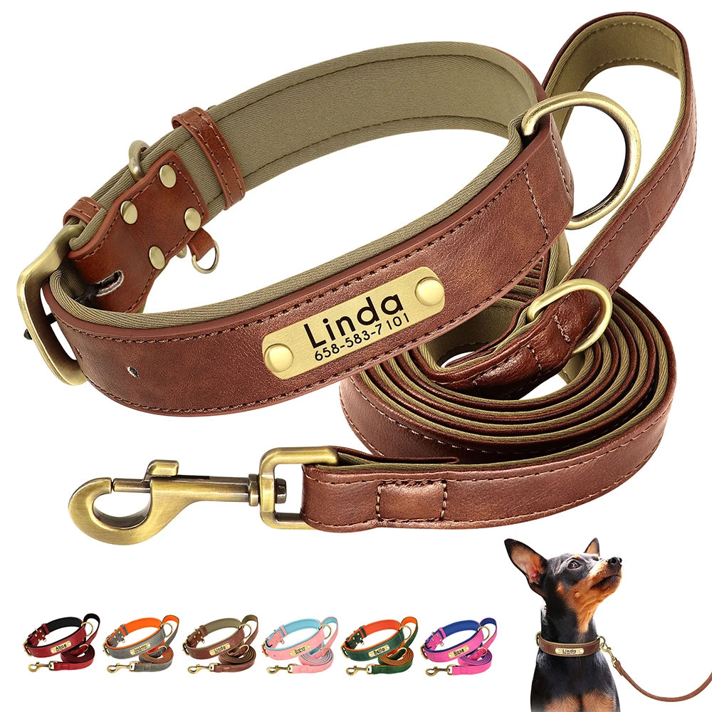 Customized Leather Dog Collar & Leash Set with Nameplate