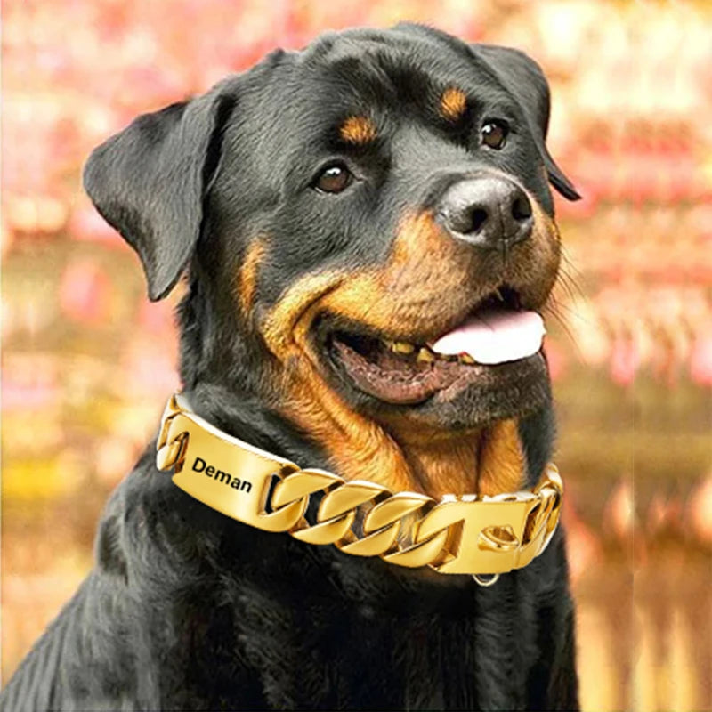 Personalized Wide Gold Chain Dog Collar