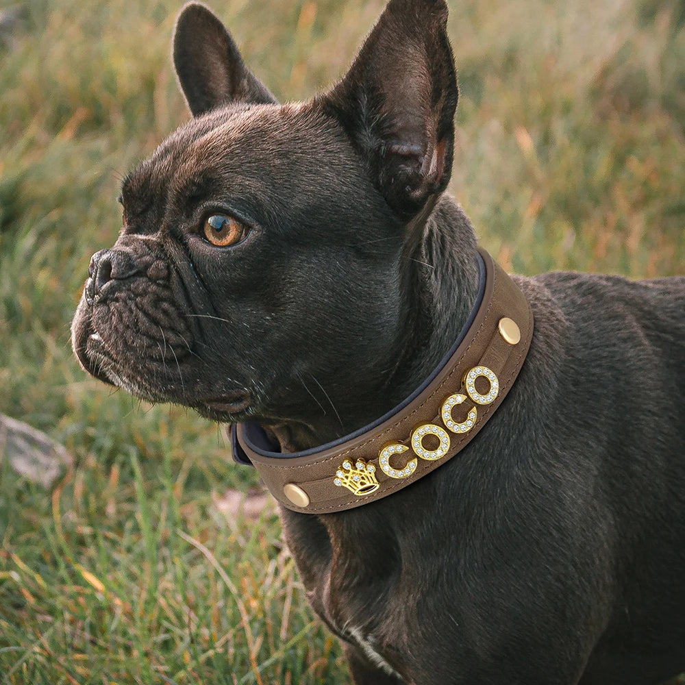 Custom Leather Dog Collar with Personalized Name & Bling Rhinestones