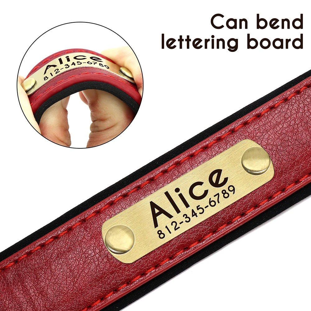 Customized Leather Dog Collar & Leash Set with Nameplate