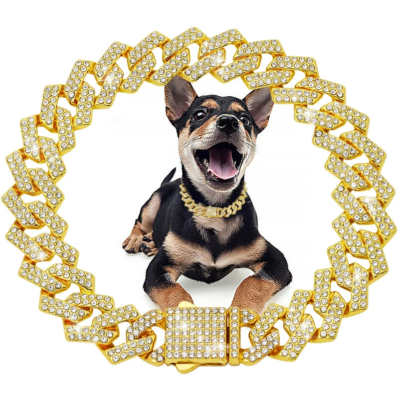 Diamond Dog Chain Collar