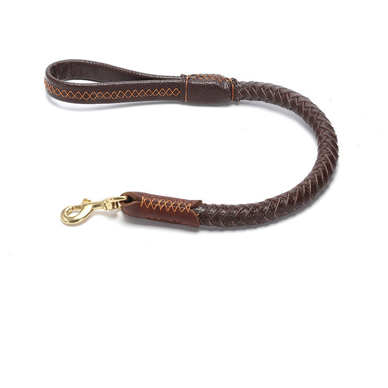 Leather Dog Leash with Anti-Breakaway Chain